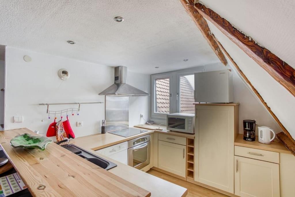 Apartamento Le Cocon Alsacien Estrasburgo Exterior foto